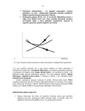 Kaštų analizė: kartono gamyba "Smurfit Kappa Baltic" 14 puslapis