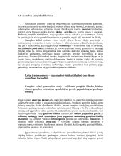 Kaštų analizė: kartono gamyba "Smurfit Kappa Baltic" 3 puslapis