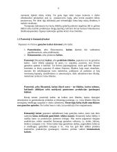 Kaštų analizė: kartono gamyba "Smurfit Kappa Baltic" 6 puslapis