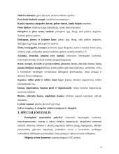 Katarinė galvijų bronchopneumonija 4 puslapis