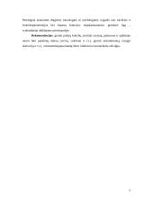 Katarinė galvijų bronchopneumonija 5 puslapis