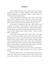 Katarinė galvijų bronchopneumonija 8 puslapis