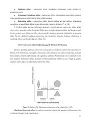 Vadovavimo stilius ir jo nustatymas švietimo organizacijoje 10 puslapis