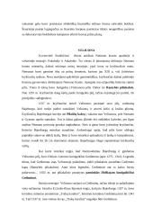 Kelionė į Suvalkiją 16 puslapis