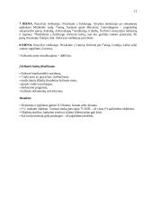 Kelionės organizavimas į Milaną 11 puslapis