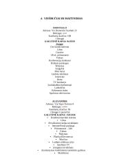 Kelionės organizavimas į Milaną 12 puslapis