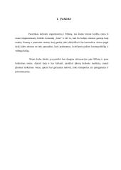 Kelionės organizavimas į Milaną 3 puslapis