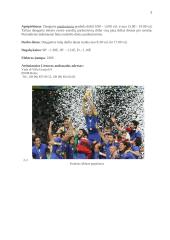 Kelionės organizavimas į Milaną 5 puslapis