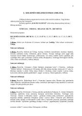 Kelionės organizavimas į Milaną 8 puslapis