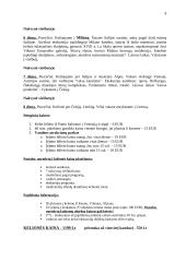 Kelionės organizavimas į Milaną 9 puslapis