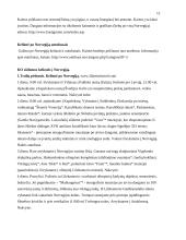 Kelionės organizavimas į Norvegiją 12 puslapis