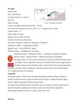 Kelionės organizavimas į Norvegiją 3 puslapis