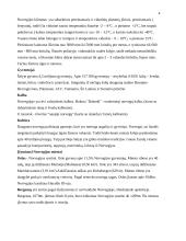 Kelionės organizavimas į Norvegiją 4 puslapis