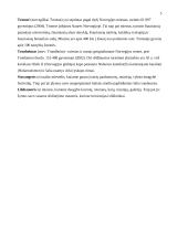 Kelionės organizavimas į Norvegiją 5 puslapis