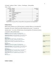 Kelionės organizavimas į Norvegiją 9 puslapis