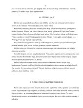 Kelionės organizavimas: Tunisas 14 puslapis
