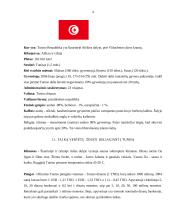 Kelionės organizavimas: Tunisas 3 puslapis