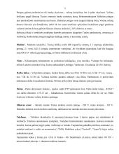 Kelionės organizavimas: Tunisas 4 puslapis