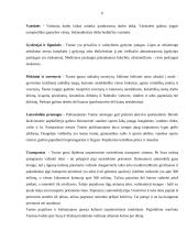 Kelionės organizavimas: Tunisas 5 puslapis