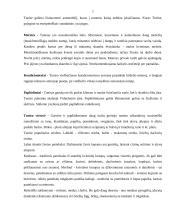 Kelionės organizavimas: Tunisas 6 puslapis