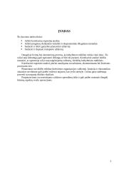 Regresinės analizės praktinės užduotys 3 puslapis