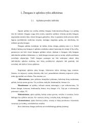 Žmogaus ir supančios aplinkos tarpusavio ryšys 2 puslapis