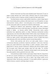 Žmogaus ir supančios aplinkos tarpusavio ryšys 11 puslapis