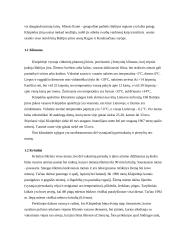 Klaipėdos miesto šiaurinės dalies nuo H. Manto gatvės viaduko rekreacinių išteklių apžvalga ir įvertinimas 2 puslapis