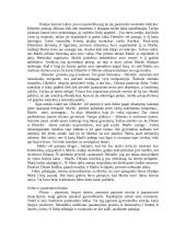 Filmo analizė: "Marlis ir aš" 2 puslapis