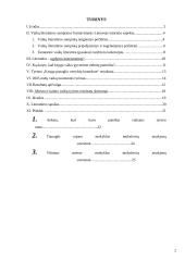 Knyga vaiko gyvenime 2 puslapis