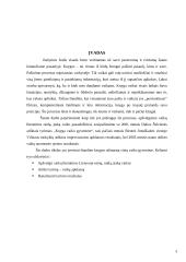 Knyga vaiko gyvenime 3 puslapis