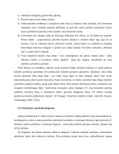 Kokybės gerinimo metodai ir būdai 13 puslapis