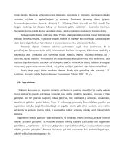 Kokybės gerinimo metodai ir būdai 19 puslapis