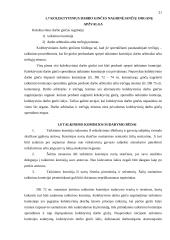 Darbo teisės sritis, nagrinėjanti kolektyvinius ginčus 17 puslapis