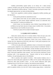 Darbo teisės sritis, nagrinėjanti kolektyvinius ginčus 3 puslapis