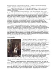 J. Vermeeris "Tikėjimo alegorija" 4 puslapis