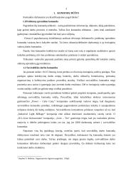 Komandinio darbo nauda ir trūkumai 3 puslapis