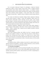 Komandinio darbo nauda ir trūkumai 6 puslapis