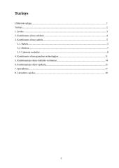 Kombinuoto siloso gamyba 2 puslapis