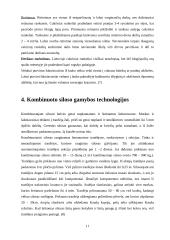 Kombinuoto siloso gamyba 11 puslapis