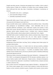 Kombinuoto siloso gamyba 12 puslapis