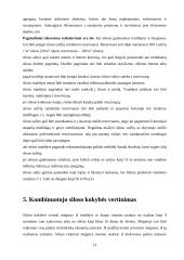 Kombinuoto siloso gamyba 13 puslapis