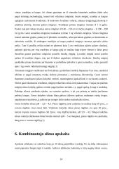 Kombinuoto siloso gamyba 14 puslapis