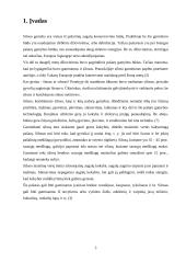 Kombinuoto siloso gamyba 3 puslapis