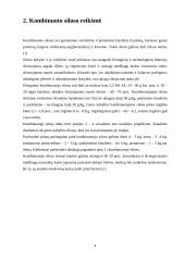 Kombinuoto siloso gamyba 4 puslapis