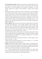 Kombinuoto siloso gamyba 6 puslapis