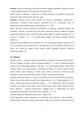 Kombinuoto siloso gamyba 7 puslapis