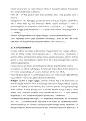 Kombinuoto siloso gamyba 8 puslapis