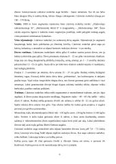 Kombinuoto siloso gamyba 9 puslapis