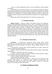 Komerciniai bankai. Komercinių bankų veikla Lietuvoje 13 puslapis